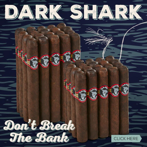 You Won't Break The Bank With Dark Shark!