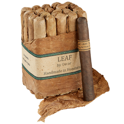 Leaf by Oscar Maduro