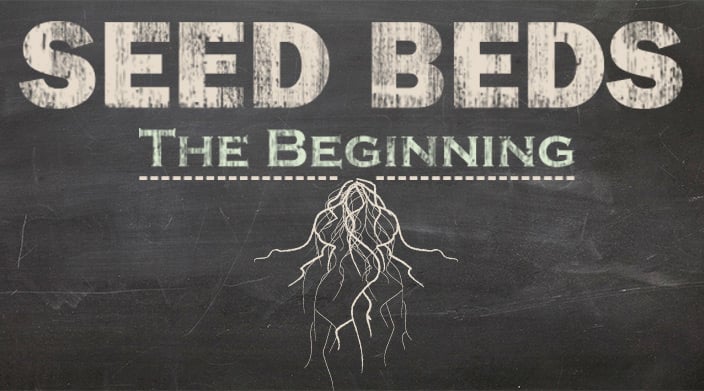 Seed Beds (The Beginning) content main image
